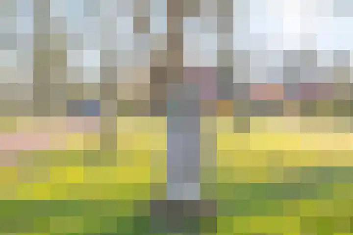 Eexterweg 43 Gieten thumbnail 48