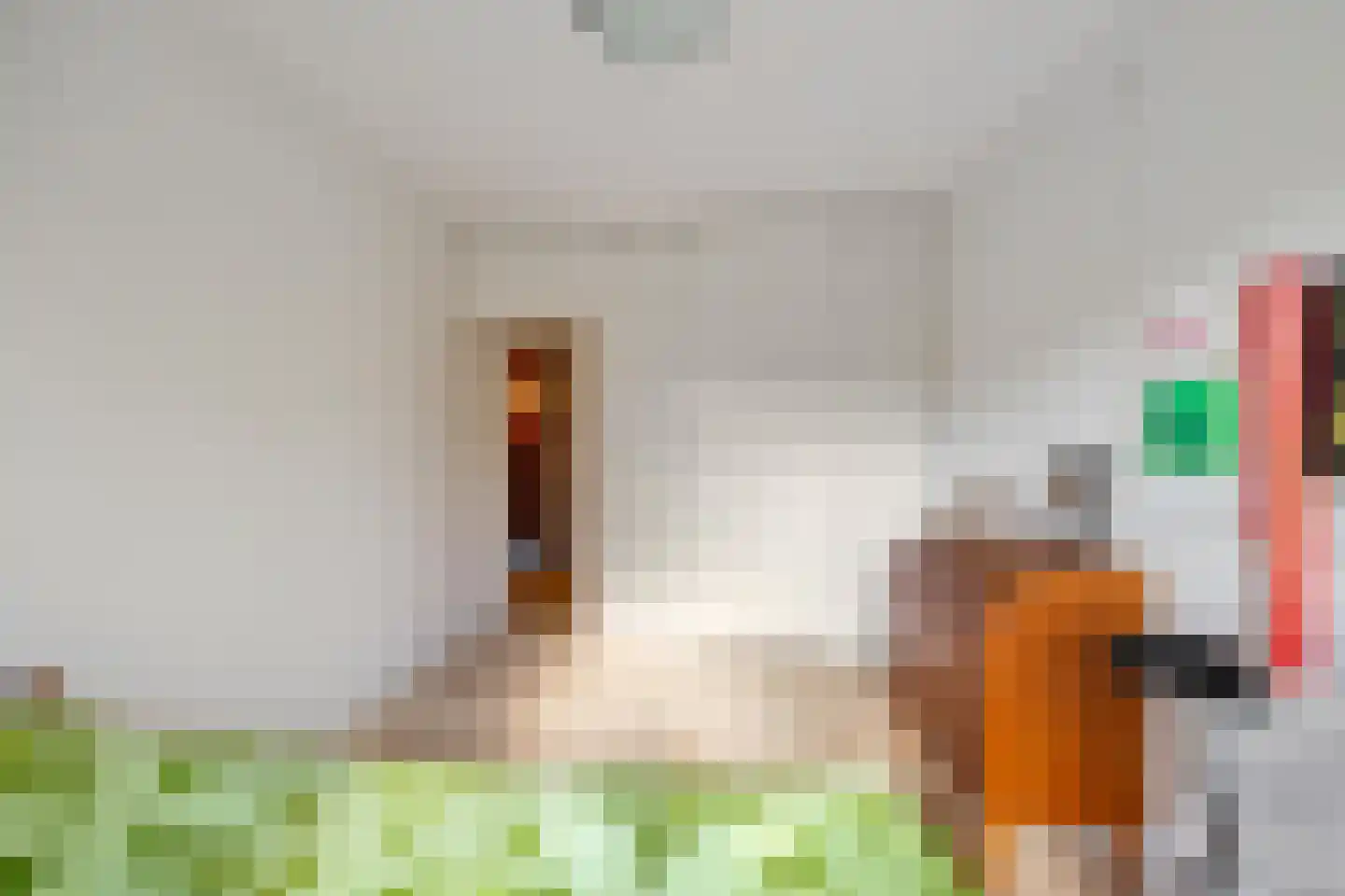 Eexterweg 71 Gieten thumbnail 30