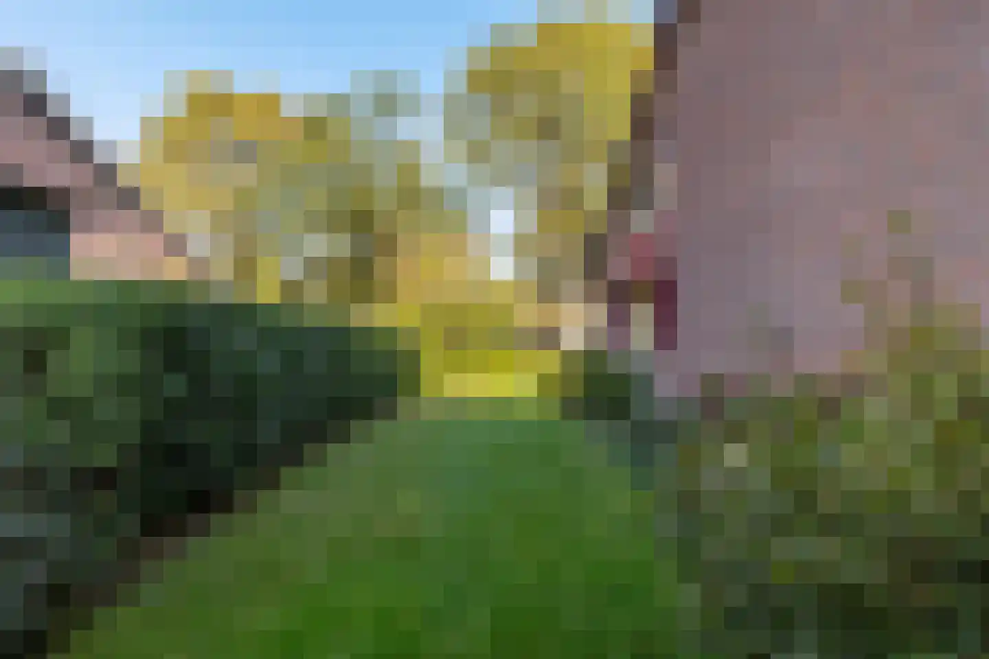 Eexterweg 71 Gieten thumbnail 50