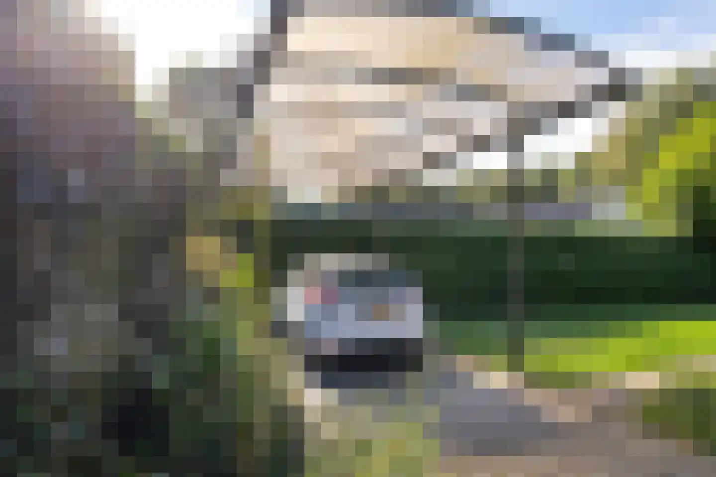 Eexterweg 71 Gieten thumbnail 54