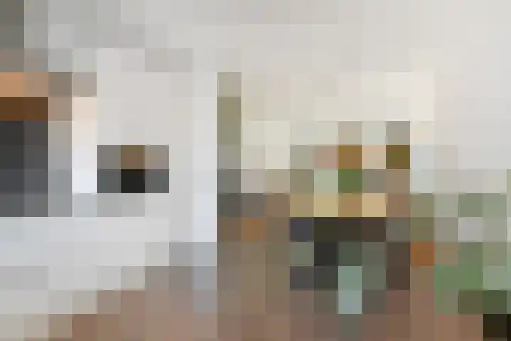 Effenhof 4 Bergschenhoek thumbnail 13