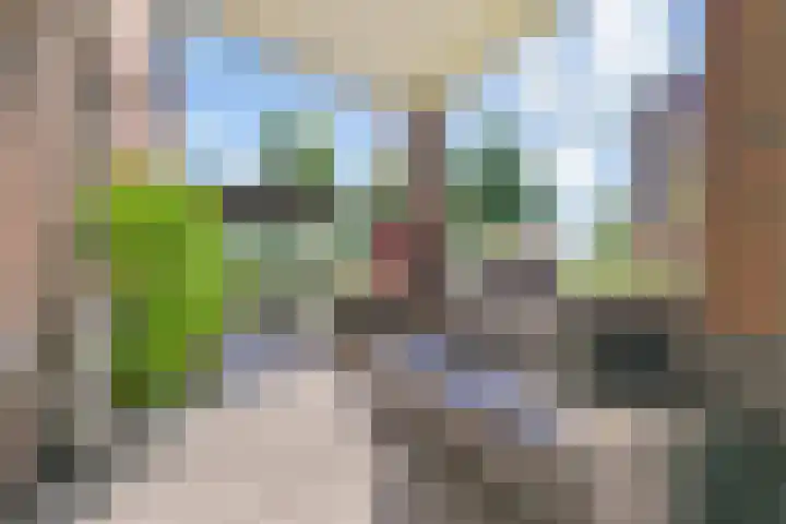 Effenhof 4 Bergschenhoek thumbnail 30