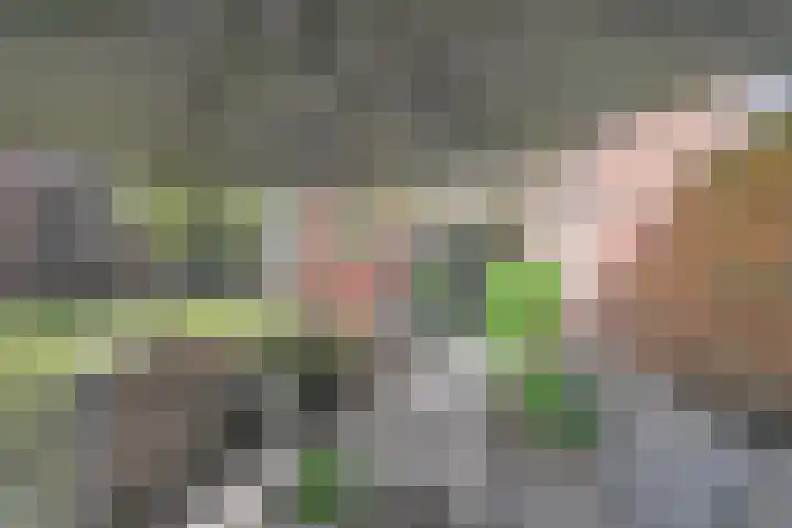 Effenhof 4 Bergschenhoek thumbnail 33