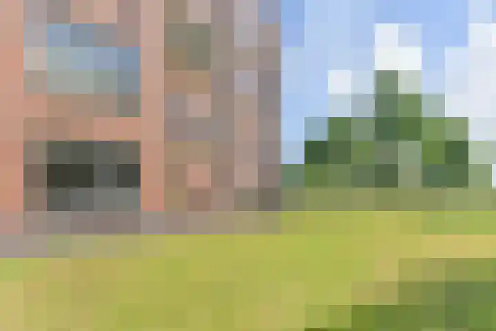Effenhof 4 Bergschenhoek thumbnail 34
