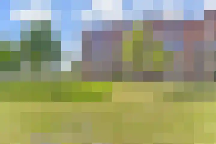 Effenhof 4 Bergschenhoek thumbnail 36