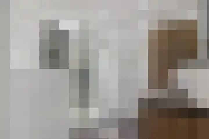 Effenhof 4 Bergschenhoek thumbnail 4