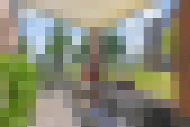 Effenhof 4 Bergschenhoek thumbnail 5
