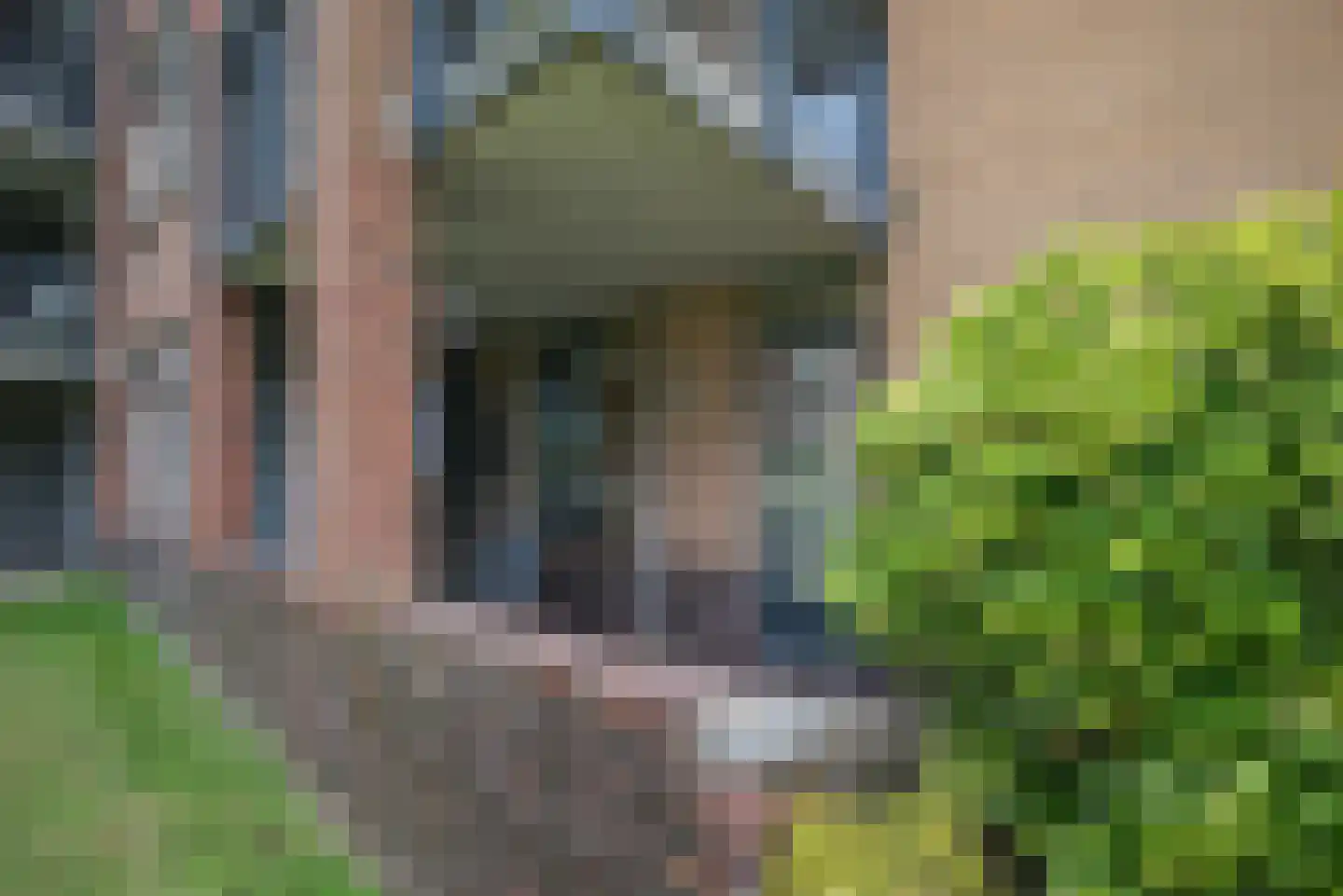 Effenhof 6 Bergschenhoek thumbnail 29