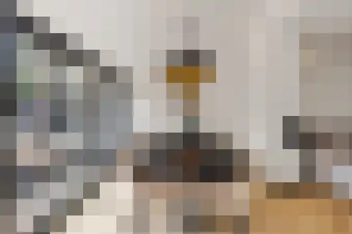 Efferen 406 Uden thumbnail 13