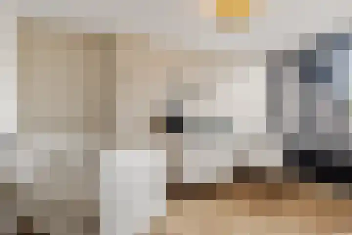 Efferen 406 Uden thumbnail 18