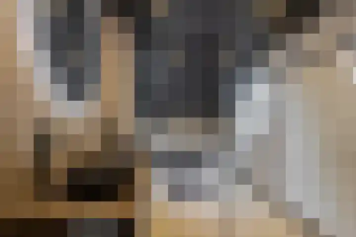 Efferen 406 Uden thumbnail 21