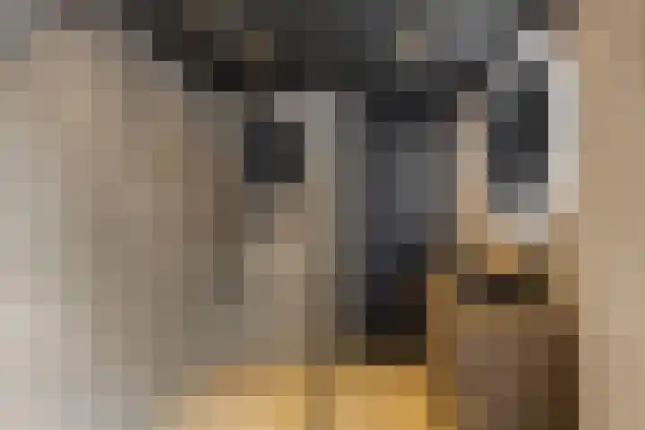Efferen 406 Uden thumbnail 22