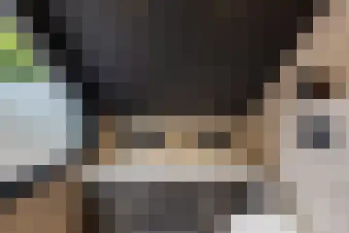 Efferen 406 Uden thumbnail 23