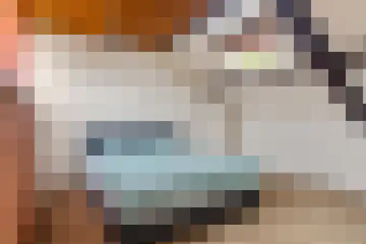 Efferen 406 Uden thumbnail 29