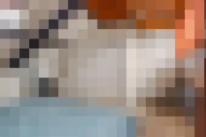 Efferen 406 Uden thumbnail 31