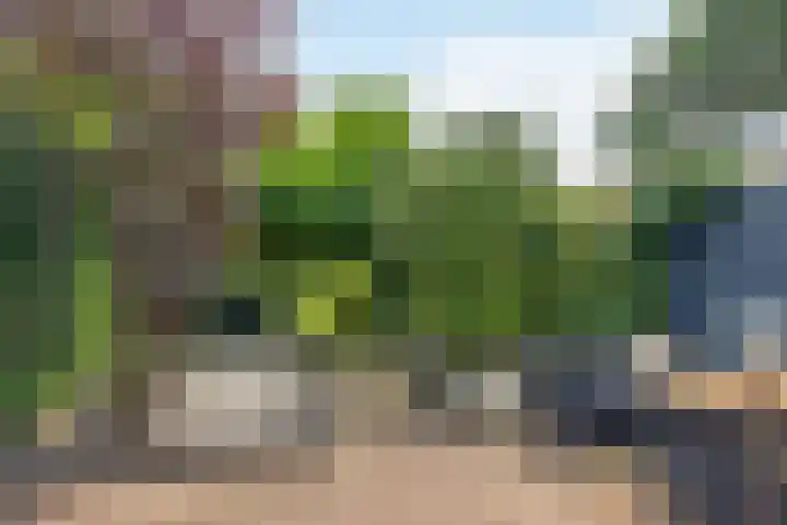 Efferen 406 Uden thumbnail 32