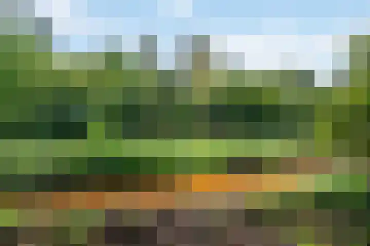 Efferen 406 Uden thumbnail 35