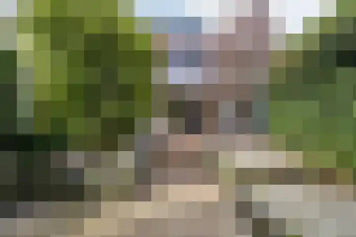 Efferen 406 Uden thumbnail 37