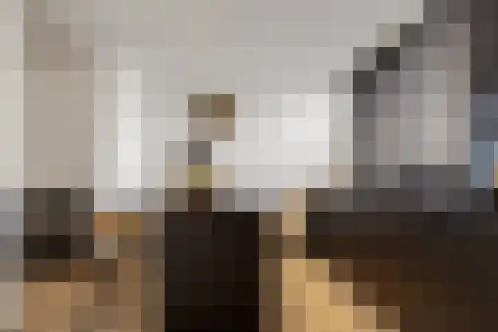Efferen 406 Uden thumbnail 4