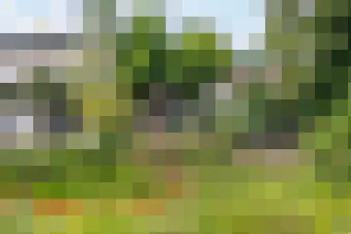 Efferen 406 Uden thumbnail 43