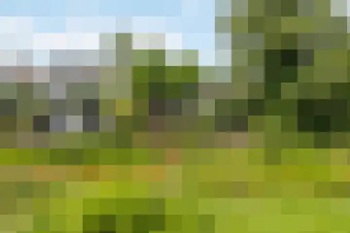 Efferen 406 Uden thumbnail 44
