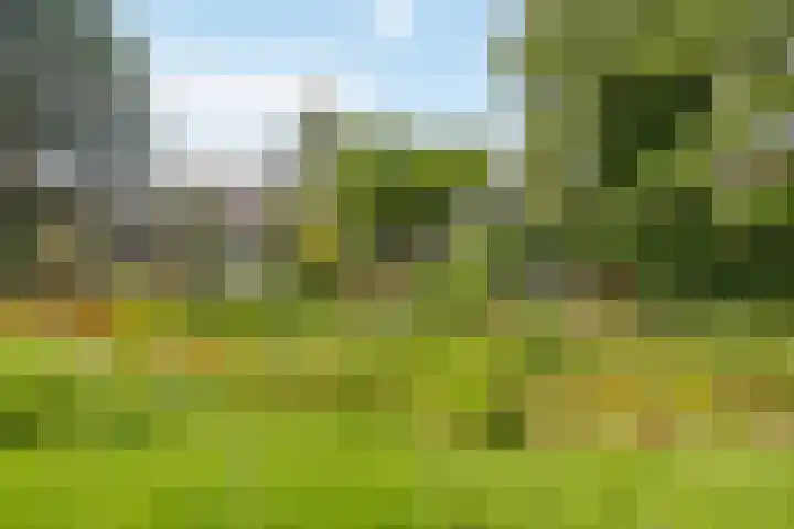 Efferen 406 Uden thumbnail 45