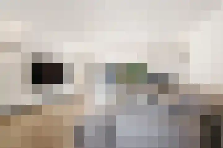 Efferen 406 Uden thumbnail 7