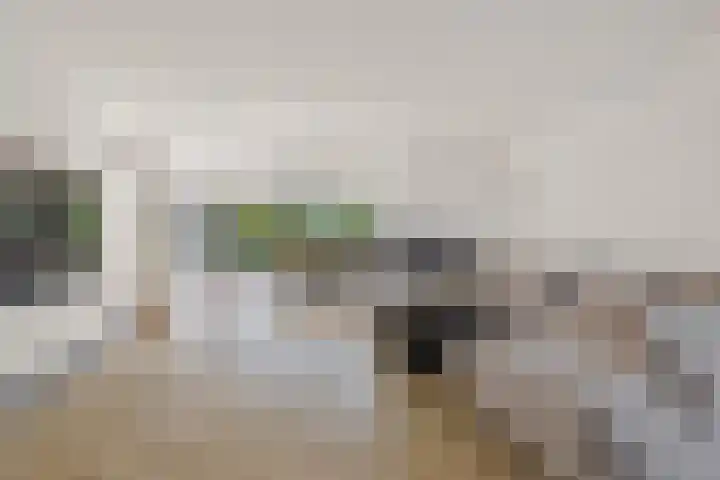 Efferen 406 Uden thumbnail 8