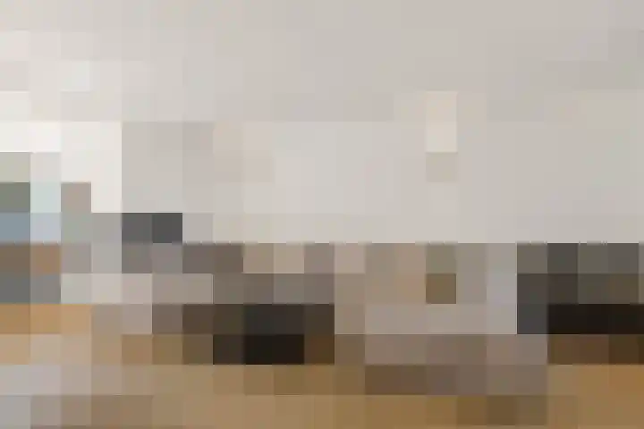 Efferen 406 Uden thumbnail 9