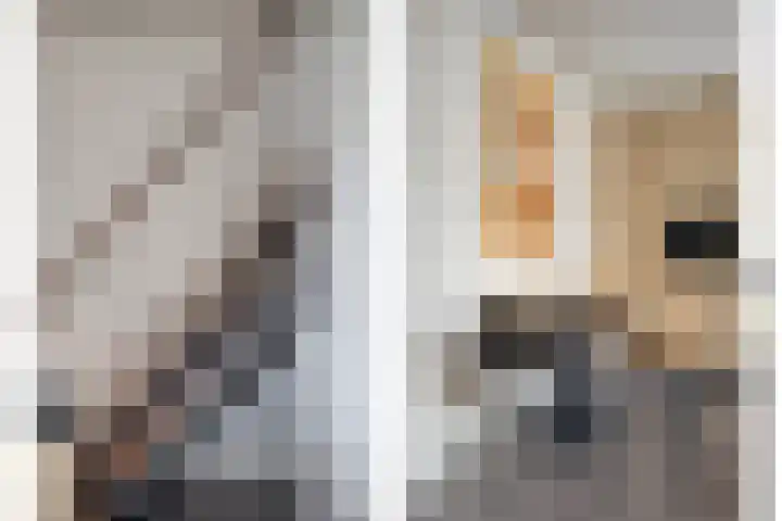 Efferen 412 Uden thumbnail 17