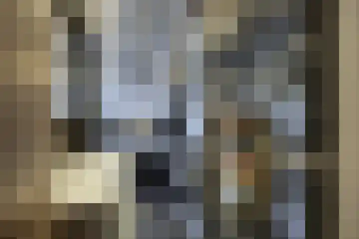 Efferen 412 Uden thumbnail 21