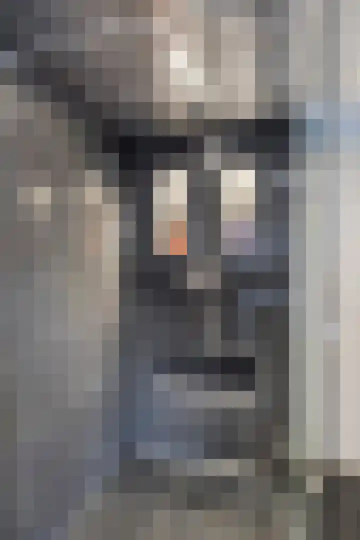 Efferen 412 Uden thumbnail 23