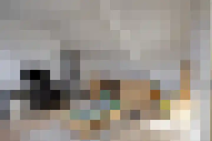 Efferen 412 Uden thumbnail 27