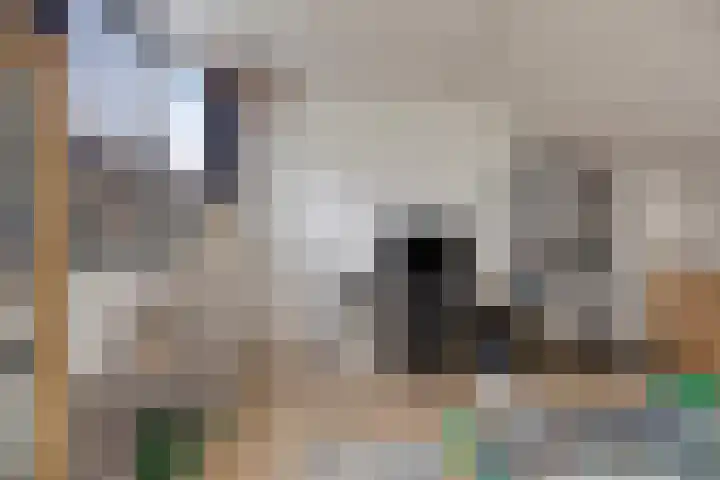 Efferen 412 Uden thumbnail 28