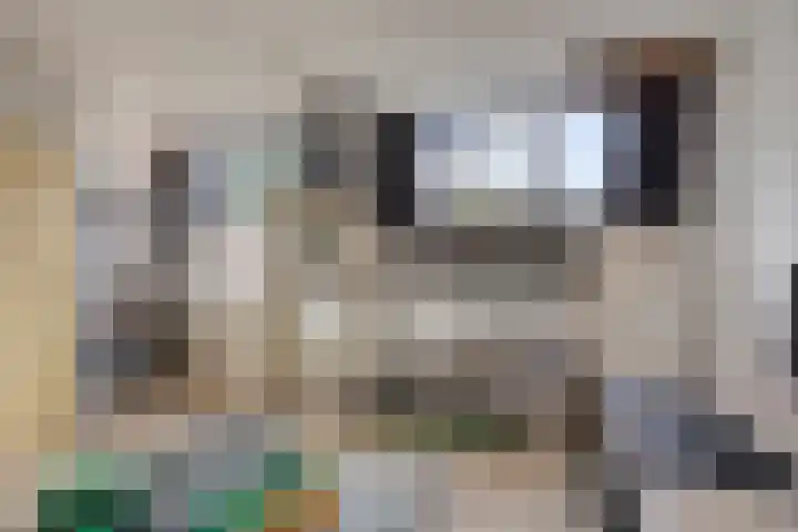 Efferen 412 Uden thumbnail 30