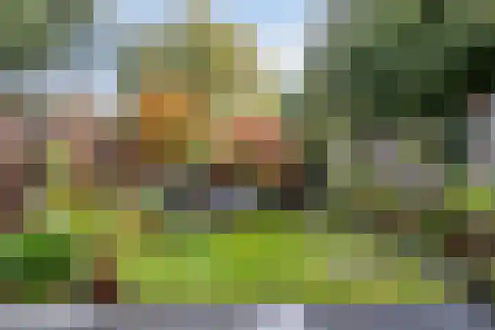 Efferen 412 Uden thumbnail 32