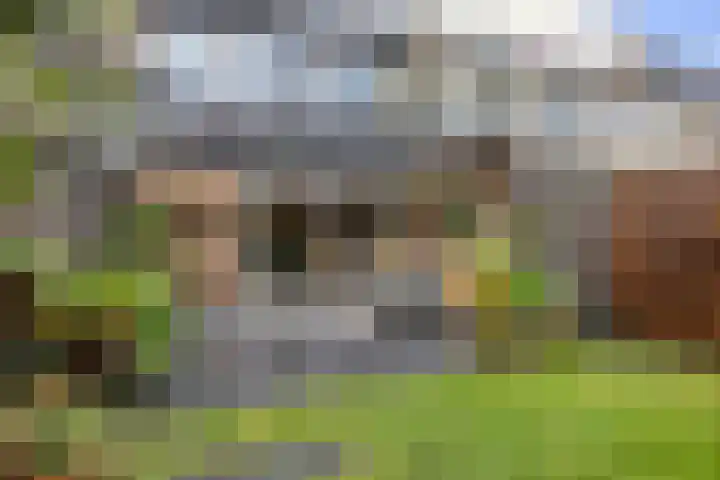Efferen 412 Uden thumbnail 33
