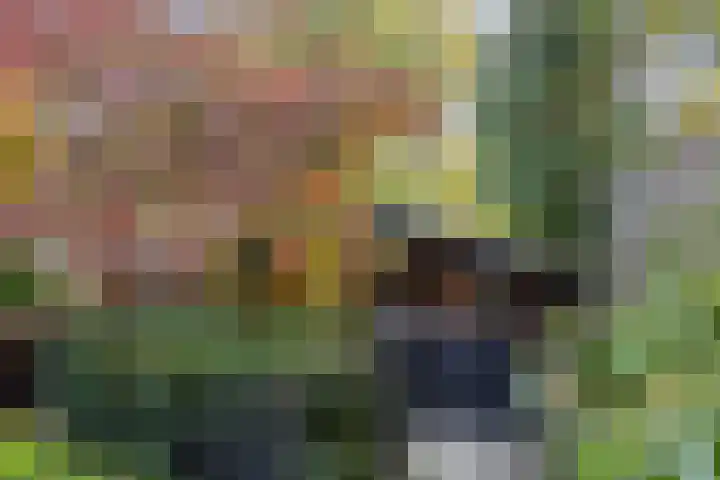 Efferen 412 Uden thumbnail 35