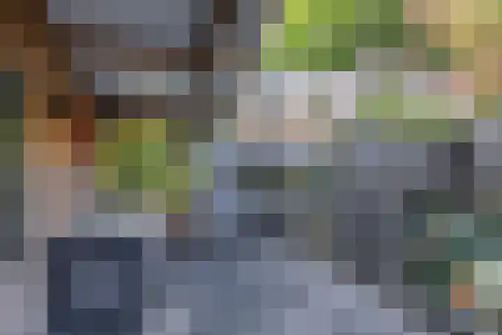 Efferen 412 Uden thumbnail 37