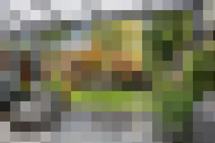Efferen 412 Uden thumbnail 4