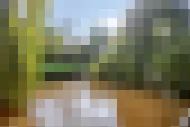 Efferen 412 Uden thumbnail 40