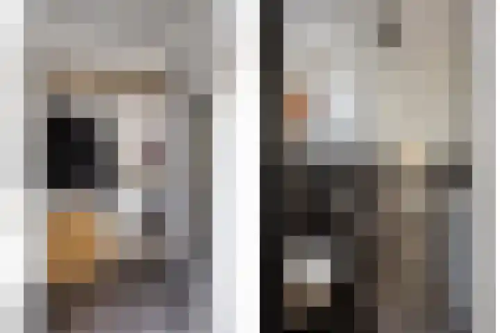 Efferen 412 Uden thumbnail 6