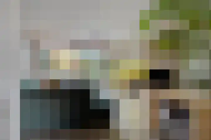 Efferen 412 Uden thumbnail 7