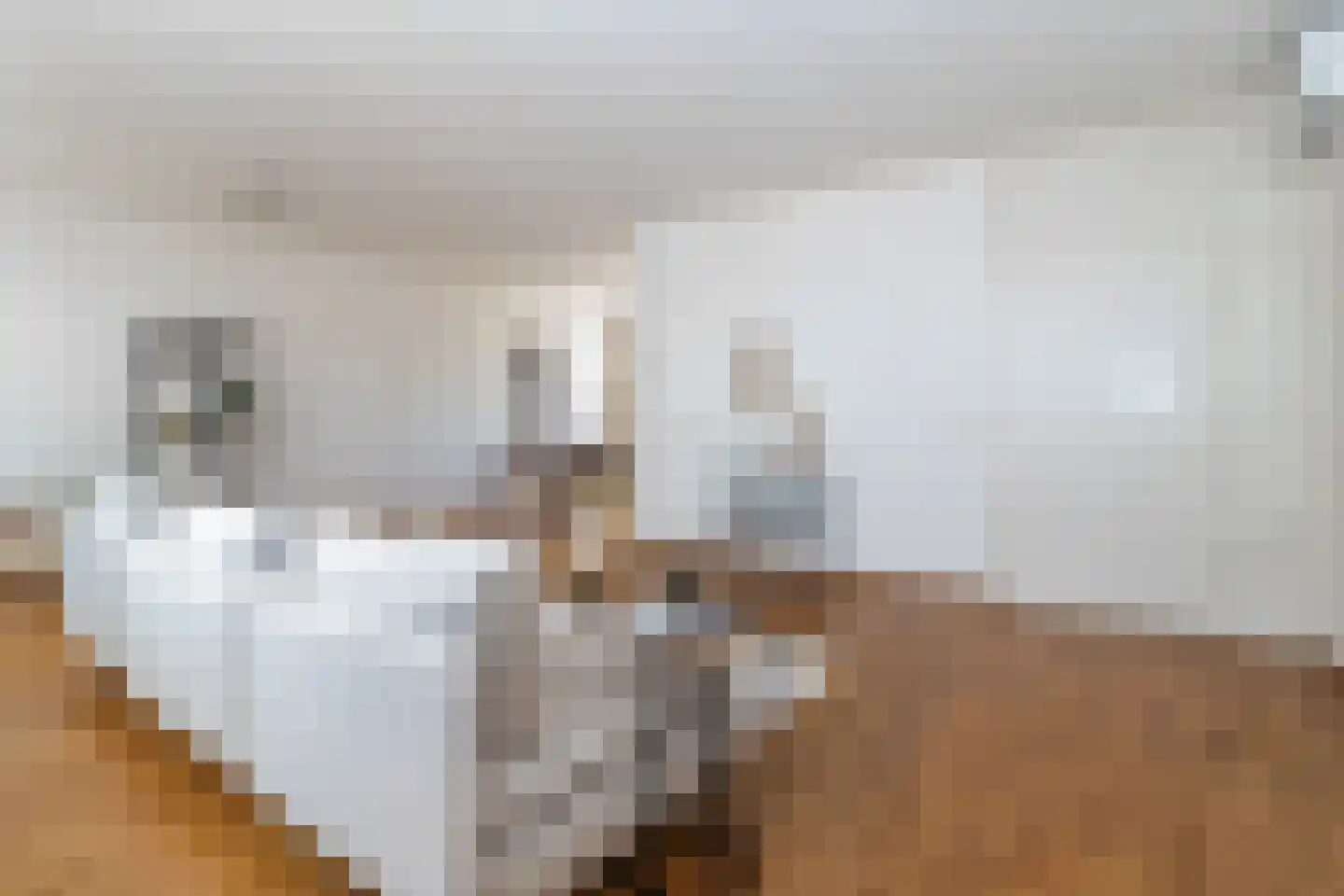 Effileursdonk 3 Maastricht thumbnail 7
