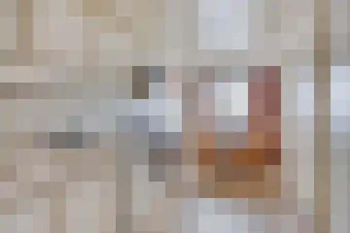 Effileursdonk 36 Maastricht thumbnail 10