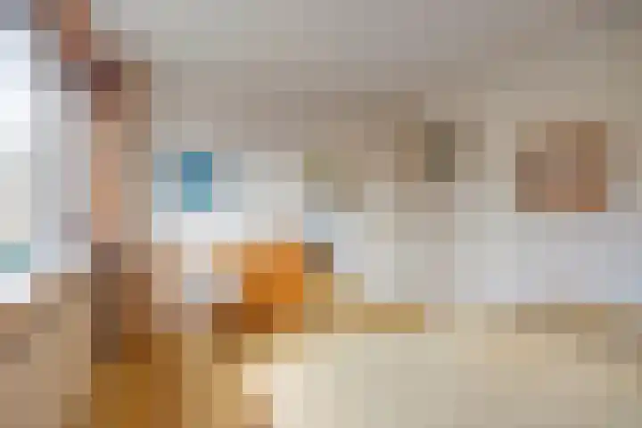 Effileursdonk 36 Maastricht thumbnail 16