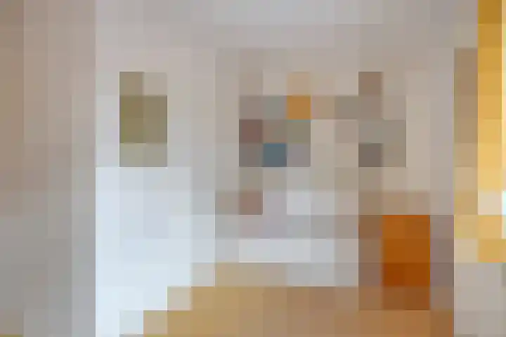Effileursdonk 36 Maastricht thumbnail 18