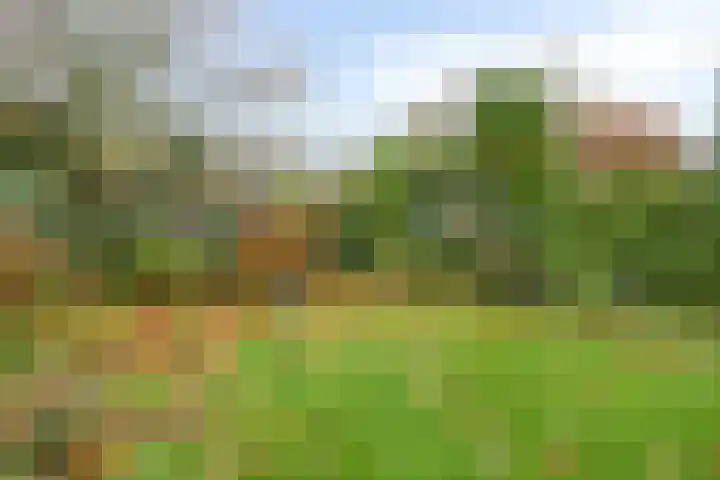 Effileursdonk 36 Maastricht thumbnail 22
