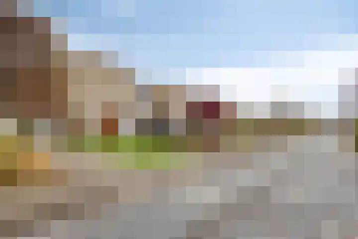 Effileursdonk 36 Maastricht thumbnail 24