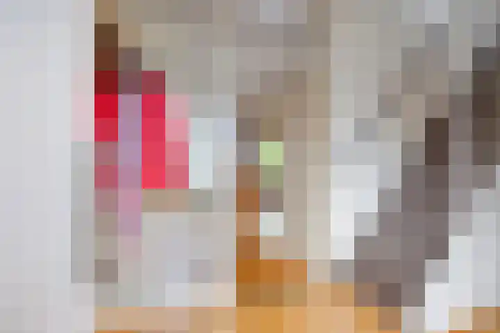 Effileursdonk 36 Maastricht thumbnail 4